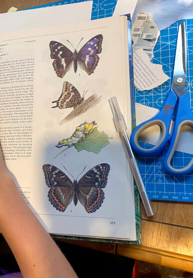 Sip and Snip Collage Workshop (at Montsalvat Arts, Eltham)