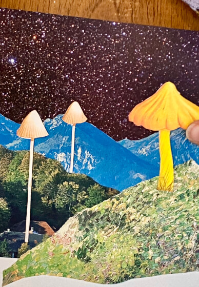 Sip and Snip Collage Workshop (at Montsalvat Arts, Eltham)