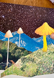 Sip and Snip Collage Workshop (at Montsalvat Arts, Eltham)