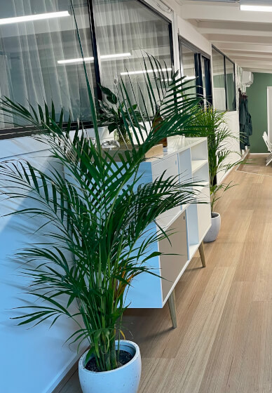 Sip, Paint and Pure Romance