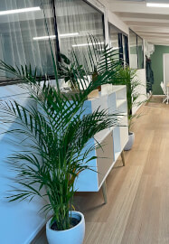 Sip, Paint and Pure Romance