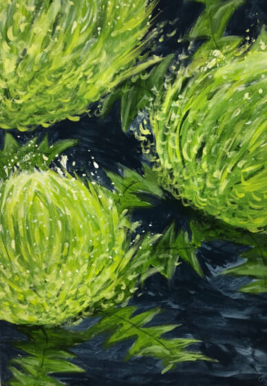 Sip Wine and Paint Class - Central Coast