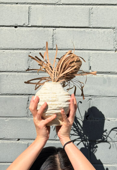 Six Week Hand Building Course
