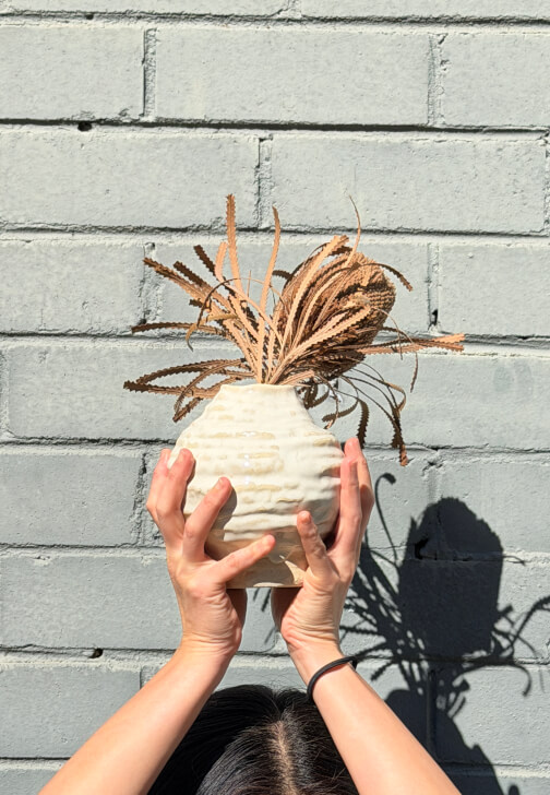 Six Week Hand Building Course