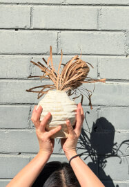 Six Week Hand Building Course