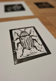 Slugs and Bugs Lino Printing Workshop