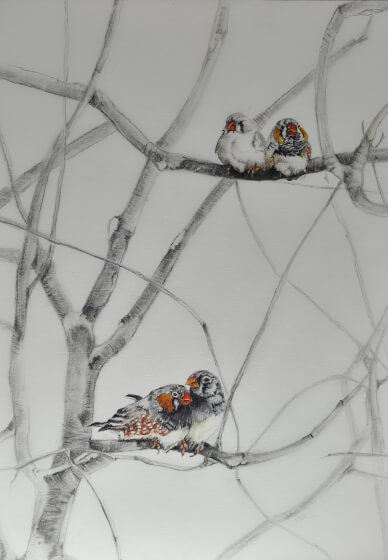 Small Bird Watercolour Workshop