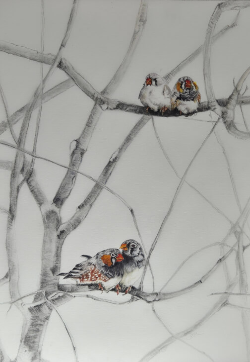 Small Bird Watercolour Workshop