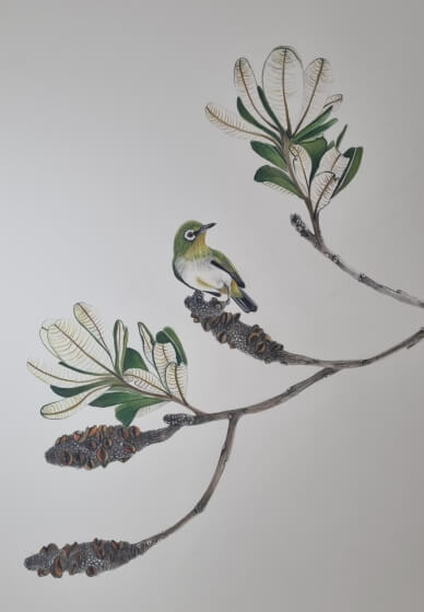 Small Bird Watercolour Workshop