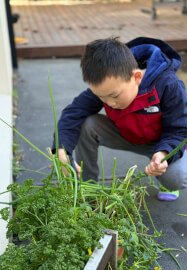 Smart Eating - 2025 Term 3 Kids Food Education Holiday Class
