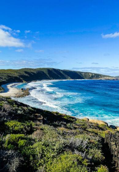 Smartphone Photography Workshop: Shoot Like a Pro