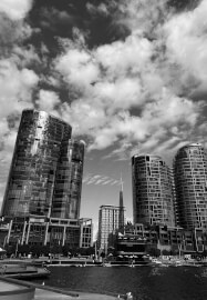 Smartphone Photography Workshop: Shoot Like a Pro