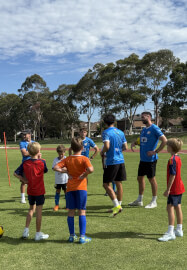 Soccer Training Professional Experience