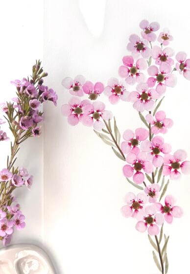Soft Spring Floral Watercolour Workshop