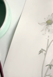 Soft Spring Floral Watercolour Workshop