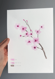 Soft Spring Floral Watercolour Workshop