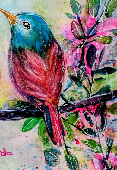 Song Birds - Watercolour Class