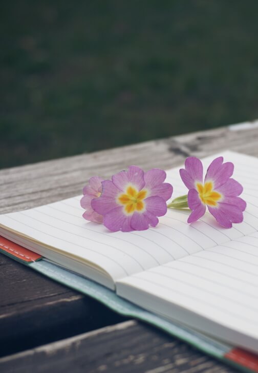 Soulful Gatherings for Women, Hens and Private Groups