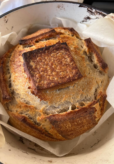 Sourdough Bread Baking Class: Foundations and Practice