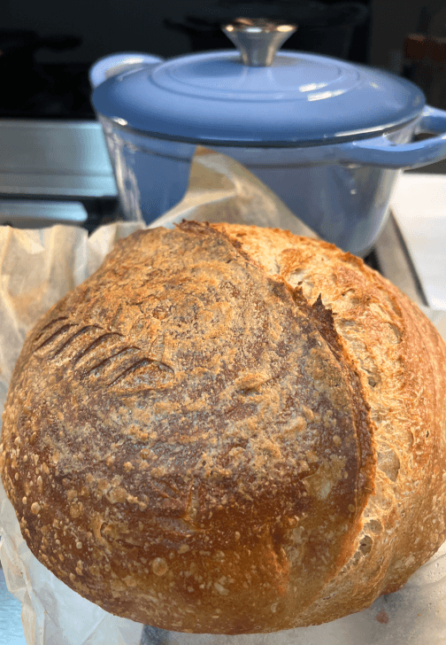 Sourdough Bread Baking Class: Foundations and Practice