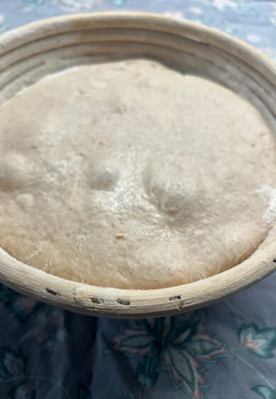 Sourdough Bread Baking Class: Foundations and Practice