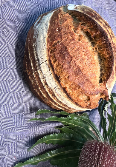 Sourdough Bread Baking Class: Foundations and Practice