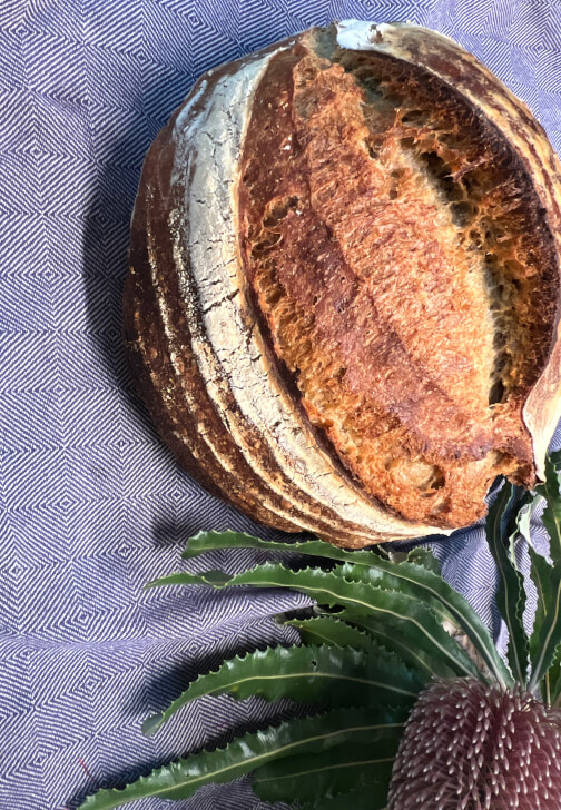 Sourdough Bread Baking Class: Foundations and Practice