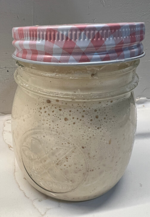 Sourdough Bread Baking Class: Foundations and Practice
