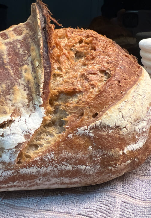 Sourdough Bread Baking Class: Foundations and Practice