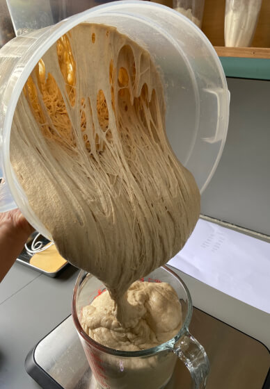 Sourdough Bread Making Class