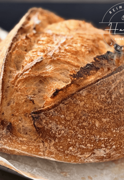 Sourdough Bread Making for Beginners Class