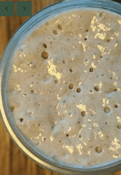 Sourdough Making Class
