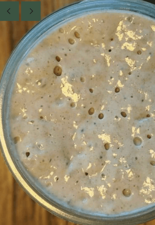 Sourdough Making Class