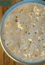 Sourdough Making Class