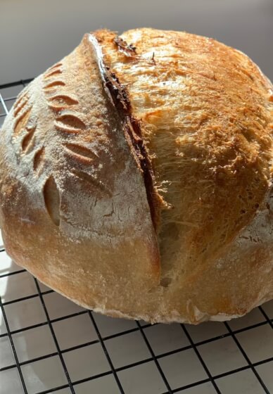 Sourdough Making Kit