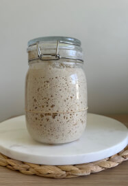Sourdough Starter and Fermentation Fundamentals Class