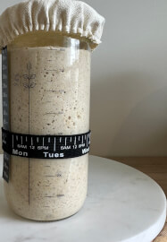 Sourdough Starter and Fermentation Fundamentals Class