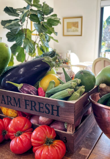 Southern Indian Vegan Cooking Class