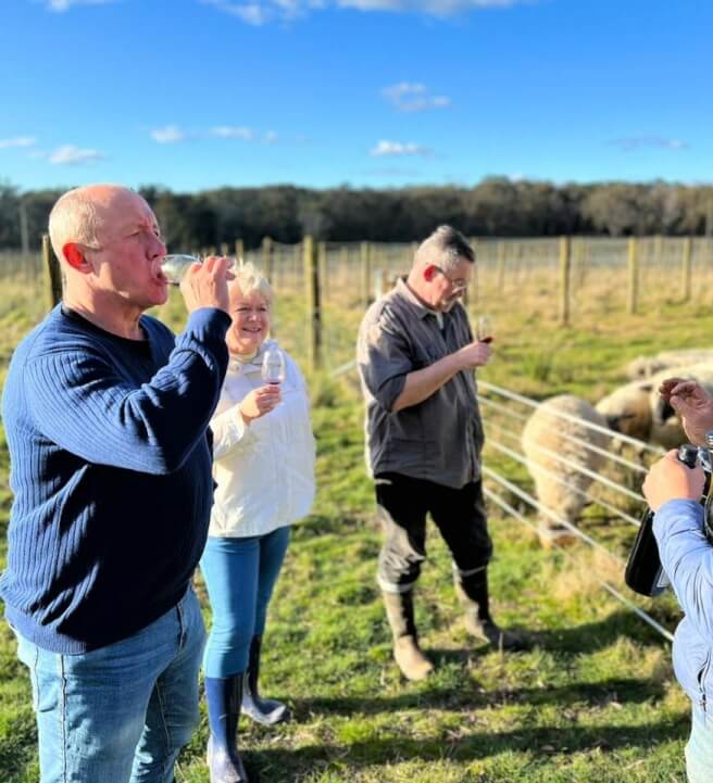 Sparkling Wine Tasting Experience