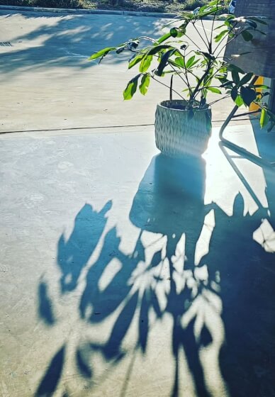 Spring Blooms Acrylic Painting Workshop