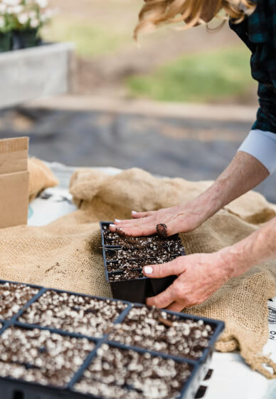 Spring Vegetable Seed Raising Workshop