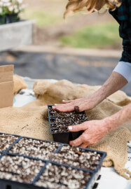 Spring Vegetable Seed Raising Workshop