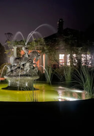 Stargazing and Art Night at Norman Lindsay Gallery