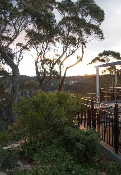 Stargazing Dinner Experience at Echo Point