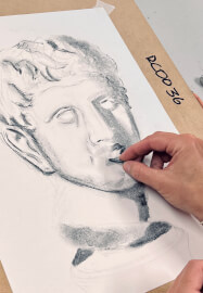 Still Life Drawing Class
