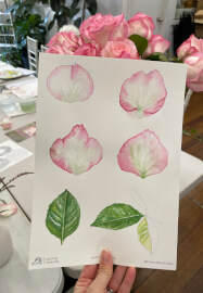 Study of a Rose Watercolour Workshop