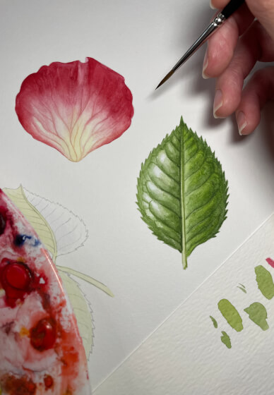 Study of a Rose Workshop
