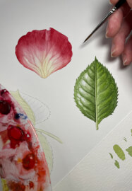 Study of a Rose Workshop
