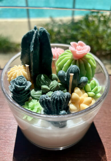 Succulent and Cactus Candle Bowl Workshop