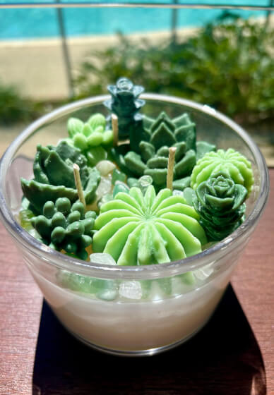 Succulent and Cactus Candle Bowl Workshop